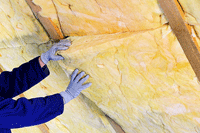 batts in the attic, Boston, Marlborough MA